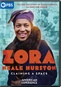 American Experience: Zora Neale Hurston - Claiming A Space